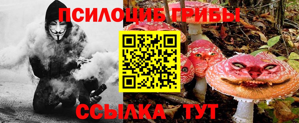 Псилоцибиновые грибы MAGIC MUSHROOMS Анапа